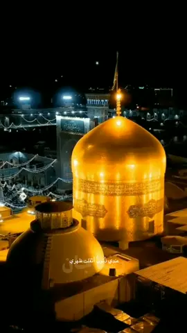 متباركين في ذكرى ولادة #انيس_النفوس #الامام_الرضا_عليه_السلام #رضا_جان #fyp 