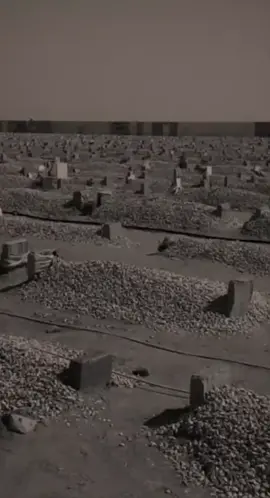 رحمك الله يابوي وسكنك فسيح جناته 