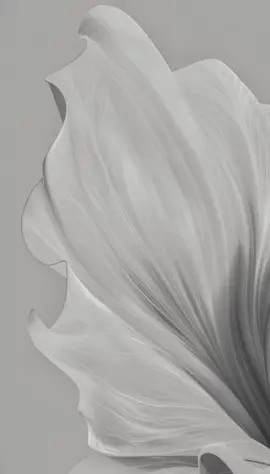 بشارة بيبي بتـــال🥹🤎#بشارة_مولود_جديد #ماشاءالله_تبارك_الله 