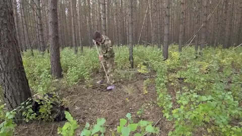 Bushcraft 213 #bushcraft  #camp  #camping  #survival  #shelter  #wildlife  #Outdoors  #viral  #fyp  #foryou