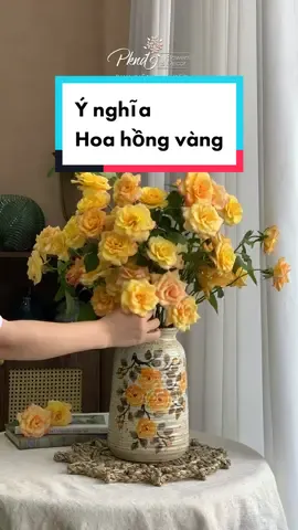 Ý nghĩa hoa hồng vàng. #ynghiahoahongvang #ynghiahoahong #hoahong #hoahongvang #pknd #camhoa 