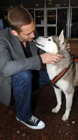 No lo entenderías. #fypシ #paulwalker #paulwalkeredit #rapidosyfuriosos #fastandfurious #brianoconner #danzakuduro 