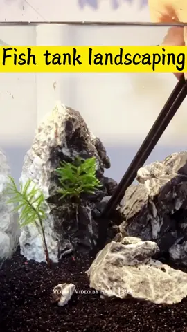 Underwater exploration, aquarium landscape story #aquarium #aqua #landscape #fishtank #fish #plantedaquarium #rocky #aquascape #homedecor #PetsOfTikTok #fyp