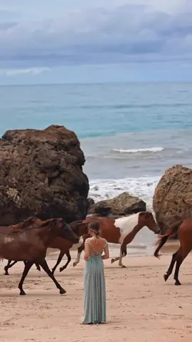 Magic in nihiwatu beach #NIHI #nihiwatu #Sumba #Indonesia #beach #horse #fyp #hotel 