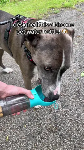 The ultimate dog walking device! 🐶 #dogwalking #dogsoftiktok #petproduct #doglover #dogpark 