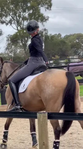 He’s classy AND sexy 💁🏼‍♀️🐴 Loving the Podium Equestrian base layer.. And this saddle blanket from Bucas 😍 Thanks Bucas! High Horse Performance keeping my horses happy and healthy, as always 🖤🤍 The discount code PDMXHH10 gets you 10% off for both Podium Equestrian & High Horse Performance products. Use NAOMI10 for a further 10% off High Horse. #equestrian #dressage #dressagerider #dressagehorse #germanridingpony #warmblood #equestrianstyle #equestrianfashion #horsenutrition #horsegirl #stablestyle 