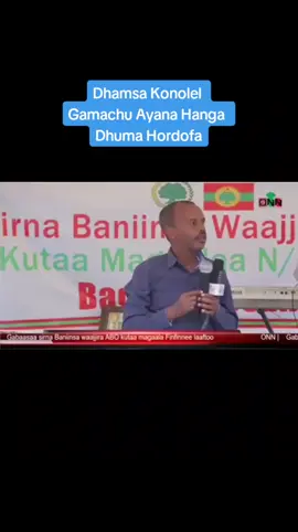 dhamsa#konolel#gamachu#ayana#dhima#oromo# irati#oromotiktok #oromotiktok 