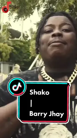 Barry Jhay - Shako #barryjhay #barryjhayshako #latest #viral #afrobeats #vibes #trending #fyp #seyivibez🔥📌💯 #foryou #zyxcba #xyzbca 