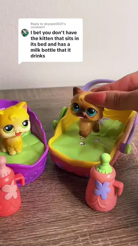 Replying to @skyepie0831 lps magic motion kittens✅💜 #lps #lpstok #asmrtapping #asmr #littlestpetshop #lpscollection #lpscollector #rarelps #nostalgia 