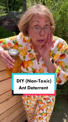 🍊 DIY All Natural Ant Deterrent Spring is one of those times of year where we find our little ant friends making their way into our homes.  Here is a natural way to deter ants from coming inside and bonus you can use the spray all over your house as it is a natural all -purpose cleaner. 🍊Fill a mason jar with orange peels 🍊Cover the orange peels with white vinegar.  Make sure the peels are completely covered and put a top on the jar. Place a piece of parchment paper between the lid and the jar. Vinegar erodes metal and will eat away at your metal lid. 🍊After 2 weeks, strain the orange peels out of the vinegar and put back in a jar or bottle. 🍊All-purpose cleaner:  Mix ½ parts vinegar with ½ parts water in a spray bottle.  Use all over your house - on counters, bathrooms and floors. 🍊Ant deterrent:   Mix ½ parts vinegar with ½ parts water in a spray bottle (you can use the same bottle for cleaning and deterring).  Spray around the doors, windows or cracks where ants are coming in.  Ants hate the smell of orange and vinegar so the mixture will deter them from entering your home. This does NOT kill the ants.   Happy Spring!  XO Babs