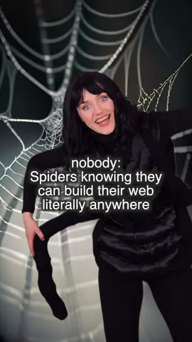 why they always on my wing mirrors tho 😭💀🕷️🚗 #estoyloco #comedy #ukcomedy #spider 