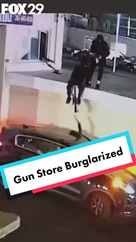 CAUGHT ON VIDEO: 3 Philadelphia teens were arrested after police say they robbed a Pennsylvania gun store and then crashed a stolen car on a NJ highway. The gun store's owner walks FOX 29's Jeff Cole through how the group broke in.