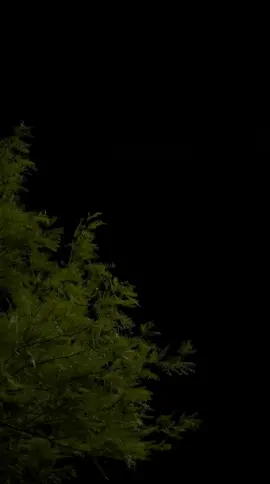 مع السلامه والله يسهل خطاك . #مع_السلامه_والله_يسهل_خطاك #كسبلور #عشوايات 