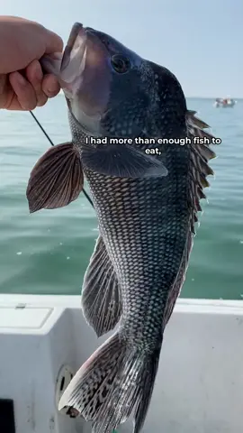 Was it a fair trade? 👀 #fyp #foryou #fish #fishing #fishtok #fisherman 