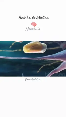 ✨️🧠 #neuronio #cerebro #fisiologia #vida #corpohumano #biomedicina #ciencia #saude #estudo 