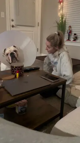 i believe everything happens for a reason, but i will never stop being angry at the universe for it’s cruelty. i dont know what my short time with Zeus was supoosed to teach me but i will spend every day of my life trying to figure it out. i’ll see you on the other side, monster head. 🌈 