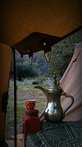 معاد به على المواقف متحد #محمد_المقحم