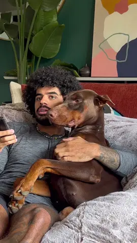 Our favorite mornings, with @Peacock helping us find our show! #peacock #ad 