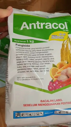 Fungisida ANTRACOL 1KG #fungisida #obathamaampuh #racuntiktokshop #reviewproduk #trustedolshop #TikTokPromote #rekomendasi #murahmeriah #RacunTikTok #supplierterpercaya #jaminoriginal #tokoamanah #terpercaya #racun #grosir #termurah 