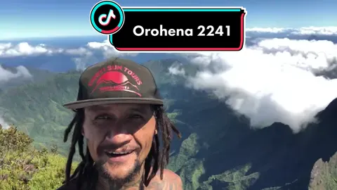 Tahiti Sun Tours on the Summit OROHENA 🇵🇫 pour la Polynésie et ses archipels ⛰ #tahitisuntours #tahiti #orohena #archipels #sommet #lahaut #perché #mountainview #picnicview #nirmalpurja #motivation #highpeak #hikingadventures #hardwork