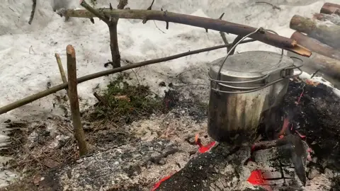 Bushcraft 222 #bushcraft  #camp  #camping  #survival  #shelter  #wildlife  #Outdoors  #viral  #fyp  #foryou
