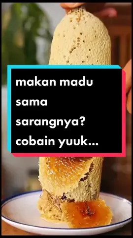 makan madu sama sarangnya? enak? enak biangeet dong cobain yukk.. #madu #sarangmadu #madumurni #maduasliterbaik #fyp #tiktokshopindonesia #CapCut 