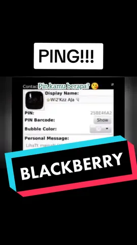 PING!!!, Tc!, Delcont, promot, BC 🤣🤣🤣 #blackberry #gemini #bbgemini #bbm #2000an #nostalgia2000an #nostalgia90s #nostalgia90andulu😄😊 #anak2000an #promot #tc #delcont #bc 