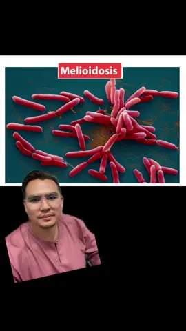 Kesedaran Melioidosis #healthpromotion #UMSMPH #MELIOIDOSIS #BAHAYAMELIODOSIS #banjirmeliodosis 