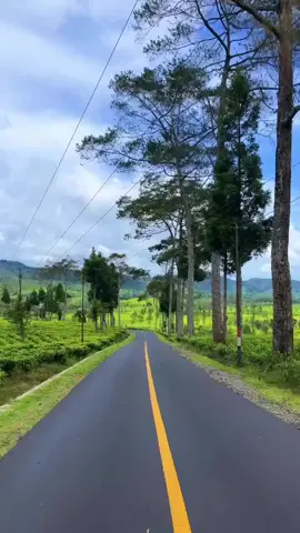 #storypemandangan #pemandanganalam #videoperjalanan #alamyangindah #amazingview #naturehealingvibes #niceview #tiktoktraveltrend #pemandanganaesthetic #pesonaindonesia #naturecinematic #videotentangalam #beautiful #view #holidayvibes #alam #goodnature #bluesky #fyp #perhijauan #kebunteh #videoperjalanan #holidayvibes 