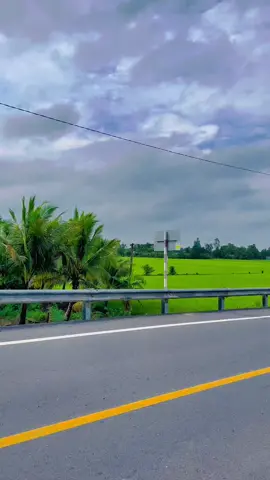 Người về đây #ql61c  #vịthanh_hậugiang #mientay 