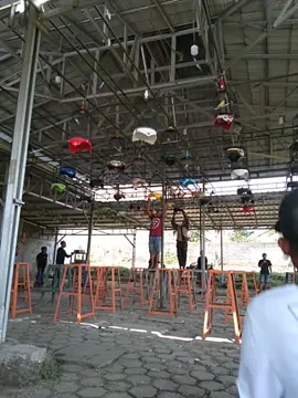 lb belum punah kelas BOB full gantangan #fypシ #kicaumanianusantara #kicaumaniaindonesia #lovebirdfighternusantara #kicaumania #lovebirds #lovebirdmania #lovebirdfighterindonesia #gantanganlovebird #lovebirdfighterdurasi #lovebirdkonslet 