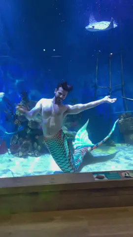 Just going to swim here and take some breaths off my magical bubble wand! #merman #mertailor #magic #underwater #aquarium #merpeople #mermaid #beyourself 