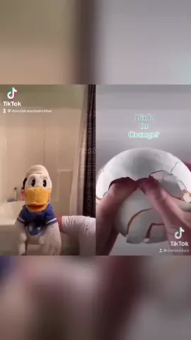 Donald Duck Screaming Compilation