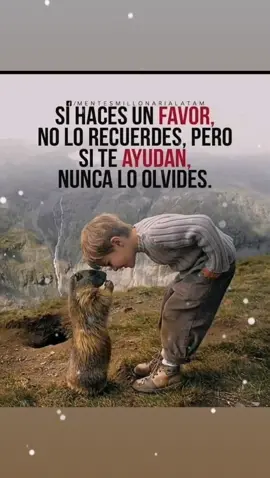 #videos para tus estados
