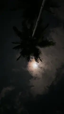 Almost full moon #langitaesthetic #sky #fyptiktok #NatureHealingVibes #nature #randomvideo #cinematicvideo #langit #VibesMalamHari #NatureCinematic #nightvibes 