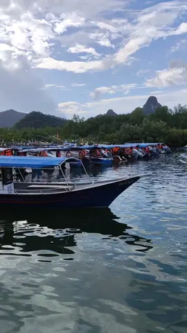 Mangrove Tour Langkawi #Langkawi #mangroveisland #kilimgeoforestpark 