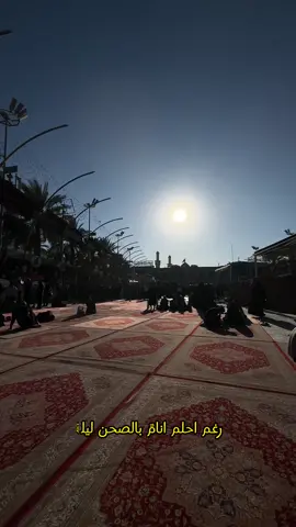 رغم احلم انامً بالصحن  #بين_الحرمين #ياحسين_ياشهيد_كربلاء #ياحسين_ياشهيد_كربلاء #يحسين #عمار_الكناني #باسم_الكربلائي #باسم_الكربلائي #اكسبلورexplore #جديد 