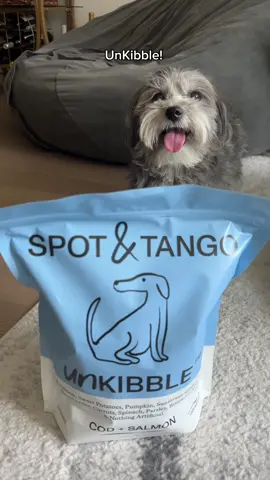 The secret’s out! If you want a shinier coat & the energy for unlimited zoomies, use code HERSHEY50 for 50% off your first bag of UnKibble! You can thank me later 😉 @Spot & Tango #spotandtangopartner #unkibble #freshdogfood #bestdogfood