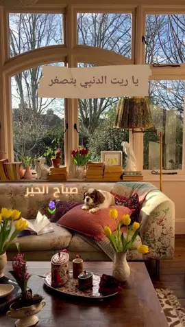 من اجمل صباحيات فيروز ، يسعد صباحكن 🌾 #صباح_الخير #صباحك #صباحكم_أحلى_صباح #صباحيات #فيروز #صباحيات_فيروز #فيروزيات #فيروزيات_الصباح #صباح_الورد #يسعد_صباحك #يسعد_صباحكم #يسعد_اوقاتكم #اجمل_صباح 