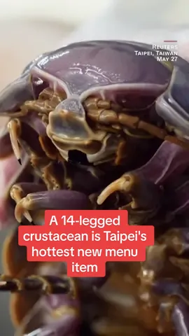 The limited-edition isopod dish drew people to Ramen Boy restaurant in Taipei, Taiwan, where one customer said it tasted like 'a cross between crab and lobster'.  #travel #taipei #ramenboy #isopod 