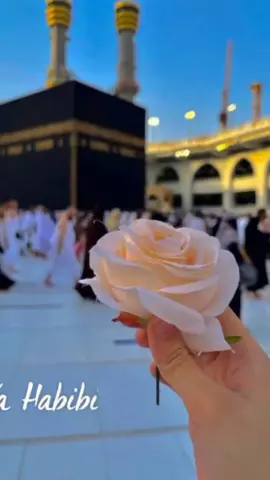 আলহামদুলিল্লাহ ♥️