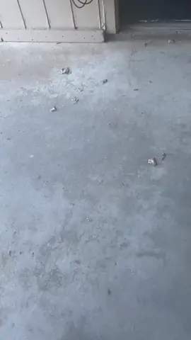 I’ll never forget the day the up stairs neighbor dumped old cooking grease on me 😂😂I was so mad 😂😂the man was so sorry but I was not having it 😭 #fyp #funny #madasfk #viral #fypシ 