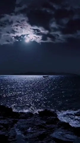 هيه ياللي هزك الشوق والمسرا ضياع  🥺💔🕊️