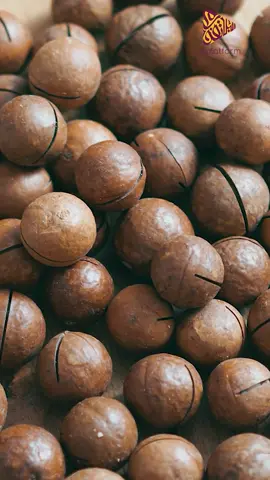 أغلي المكسرات | الجزء السابع #البلاتفورم #البلاتفورم_elplatform #elplatform #explore #اكسبلور