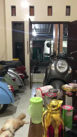 dirimu masih hancur, uang mu masih sedikit, orang tuamu belum kamu bahagiakan, lalu mengapa kamu ingin memiliki seseorang?, sedangkan nengurus diri sendiri aja belum bisa#galaubrutal🥀 #fyppp #yzxcba #foryoupage 