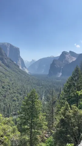 Scenic pissing #yosemite 