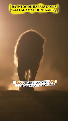 𝐆𝐮𝐦𝐚𝐘𝐬𝐭𝐚𝐘𝐚𝐚𝐬𝐡𝐚 𝐇.𝐘 𝐘𝐚𝐚𝐝 𝐤𝐚 𝐓𝐚𝐡𝐚𝐘? #habaryoonis #habaryoonis #habaryoonis #habaryoonis #habaryoonis #habaryoonis #habaryoonis 