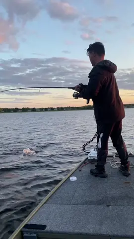 She was THICC #fish #fishing #fishtok #fisherman 