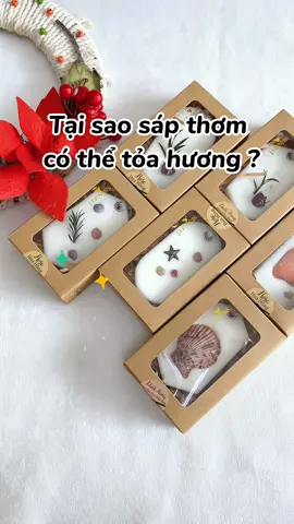 Sáp thơm hoa khô giúp khử mùi ẩm mốc, làm thơm tủ quần áo 🌸#TryItWithTikTok #purevess #tinhdaupurevess #sapthomhoakho #sapthomkhumui #TiktokshopVN #tiktokmademebuyit #sale66 #sale66tiktok #saleluongve #xuhuong #xuhuongtiktok 