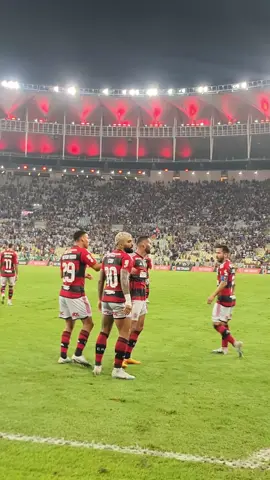 É! 💪1️⃣0️⃣🔴⚫ Compartilhe para aqueles que precisam ver a expressão do @Gabriel Barbosa em mais uma comemoração decisiva. 🤣 #VamosFlamengo #gabi #FLAxFLU #Flamengo #tiktokesportes 